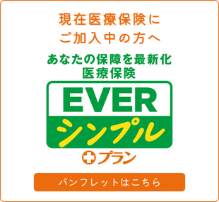 Everプラス